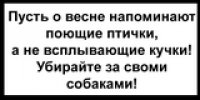 Чистые газоны,  чистая совесть....