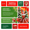Бал-маскарад на катке 20.12.2025