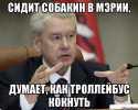 СЗАО ждет резкое ухудшение транспортного обслуживания: отменили 19 троллейбус, на очереди  12, 20, 82, 70, 20К